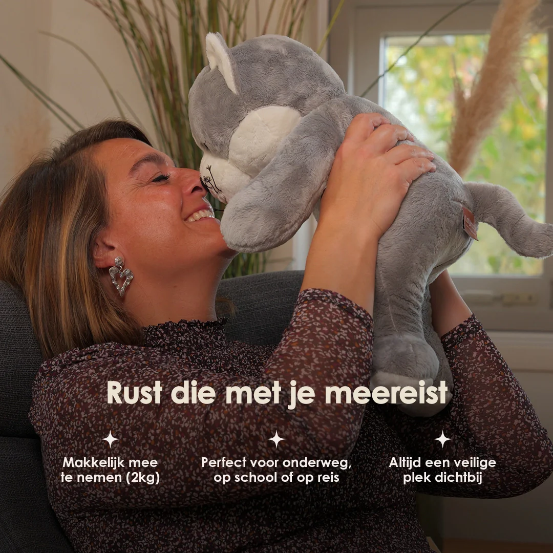 Productafbeelding 11