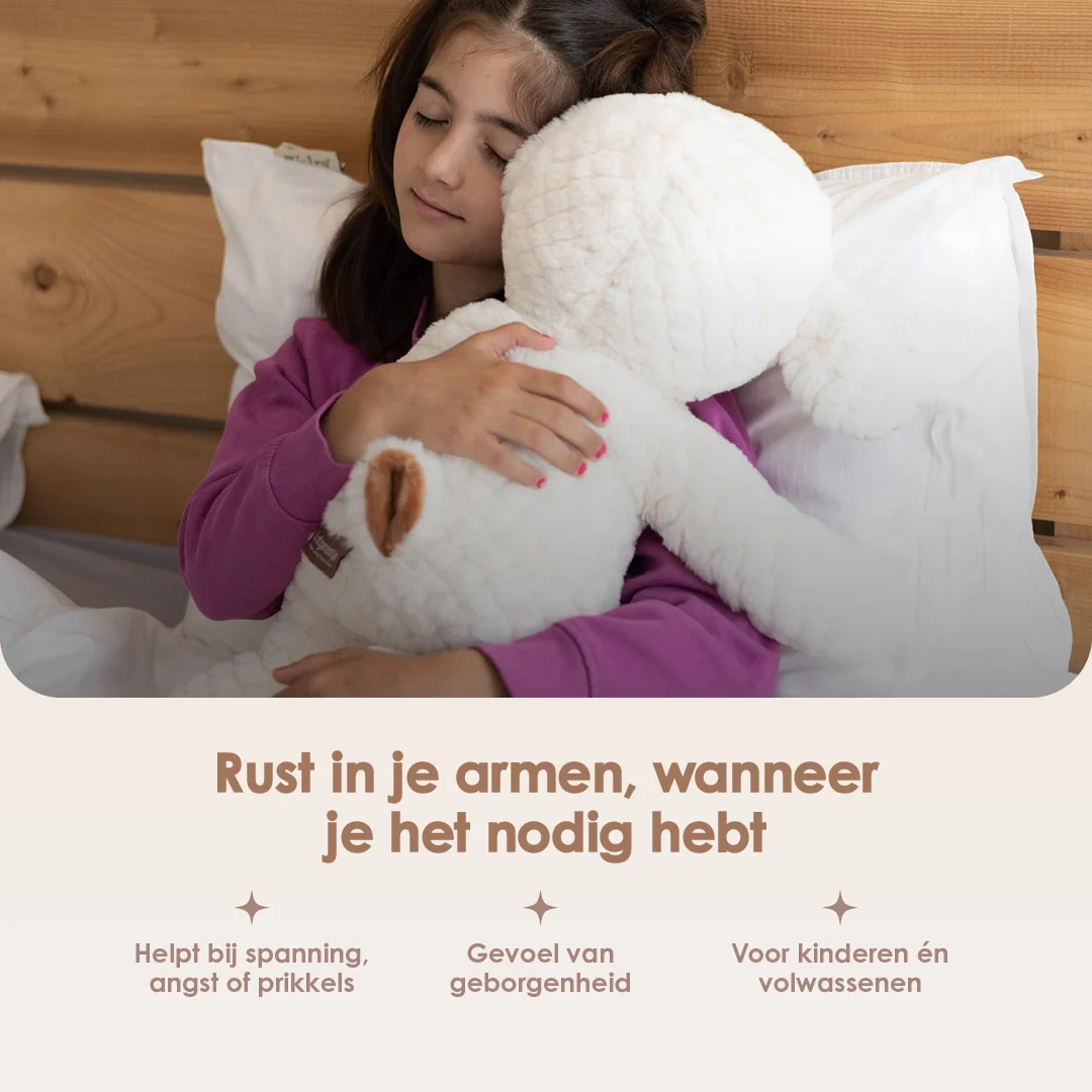 Productafbeelding 4